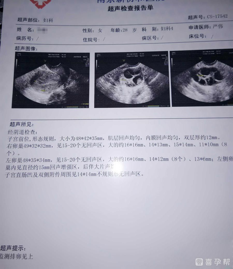 上海私立机构可以供精代怀机构吗（2024上海市公立试管供卵医院汇总）