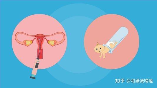 24周孕妇梦见蝙蝠满天飞是试管助孕咨询还是生女孩