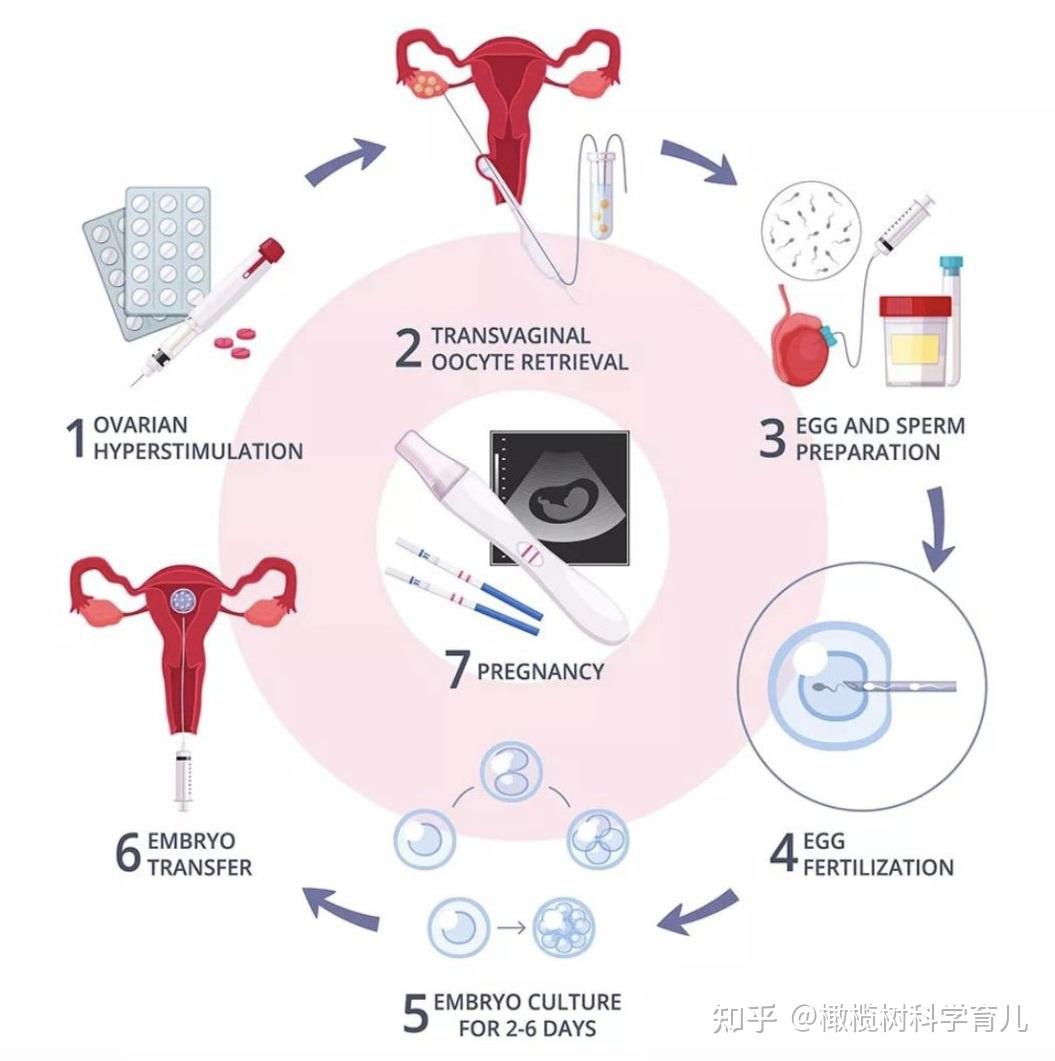 2024上海找人代怀孩子医院大全（附助孕成功率排名）